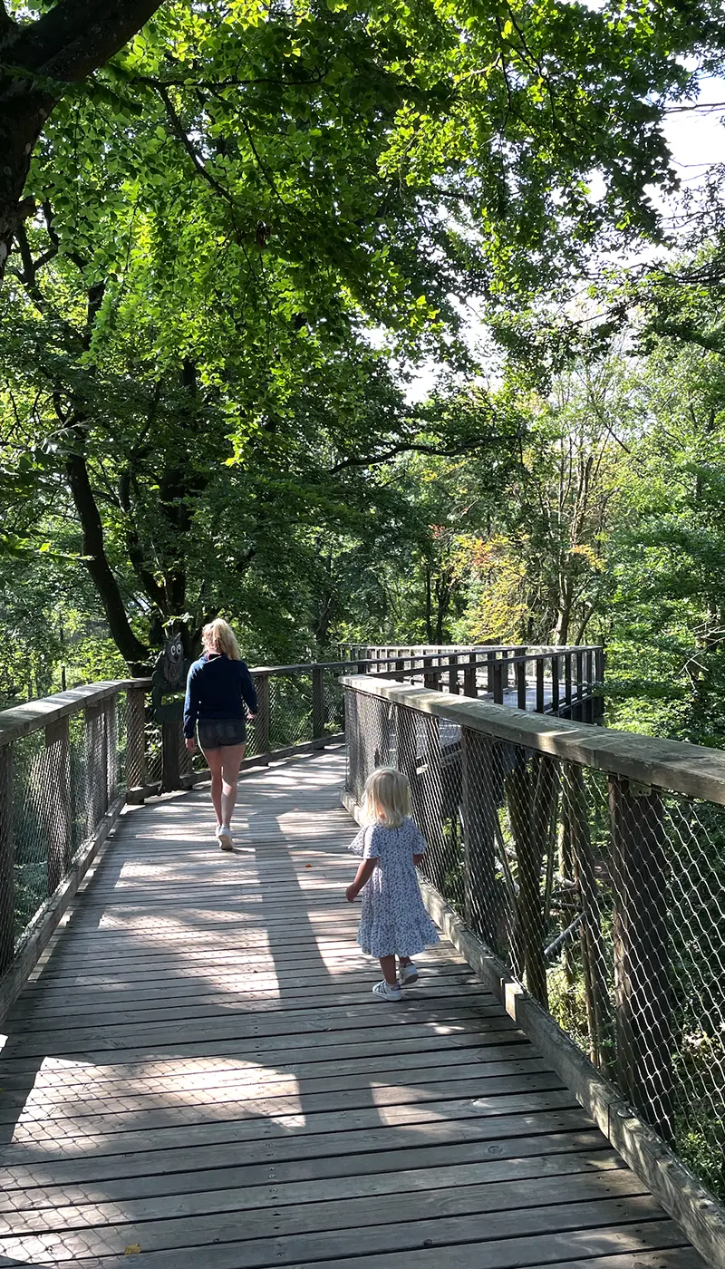 Saarschleife Mettlach Treetop path